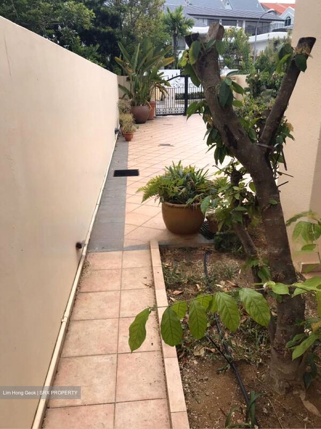 Brighton Avenue (D19), Detached #466986981